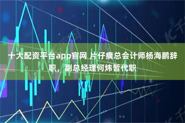 十大配资平台app官网 片仔癀总会计师杨海鹏辞职，副总经理何炜暂代职