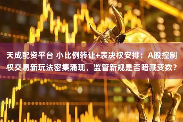 天成配资平台 小比例转让+表决权安排：A股控制权交易新玩法密集涌现，监管新规是否暗藏变数？