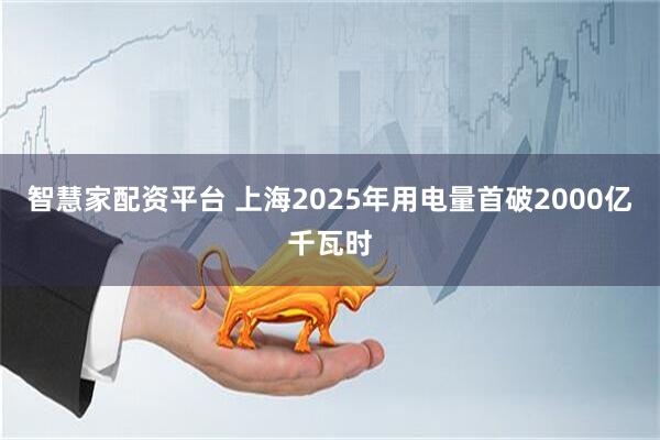智慧家配资平台 上海2025年用电量首破2000亿千瓦时
